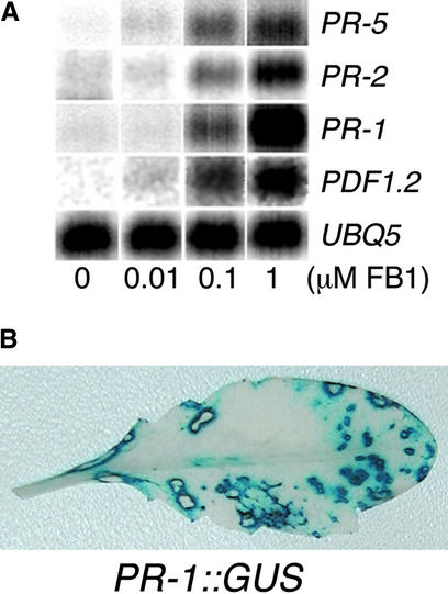 Figure 3.