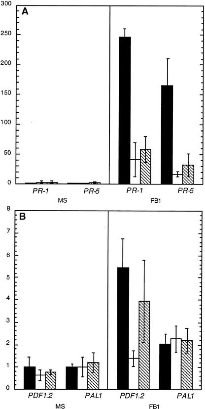 Figure 5.