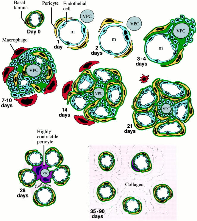 Figure 12.