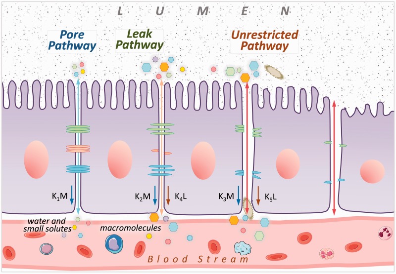 Figure 1.