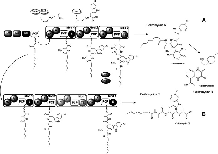 FIG 7