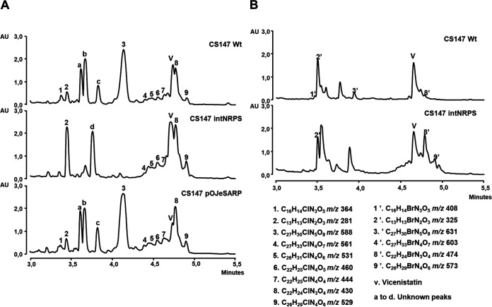 FIG 2