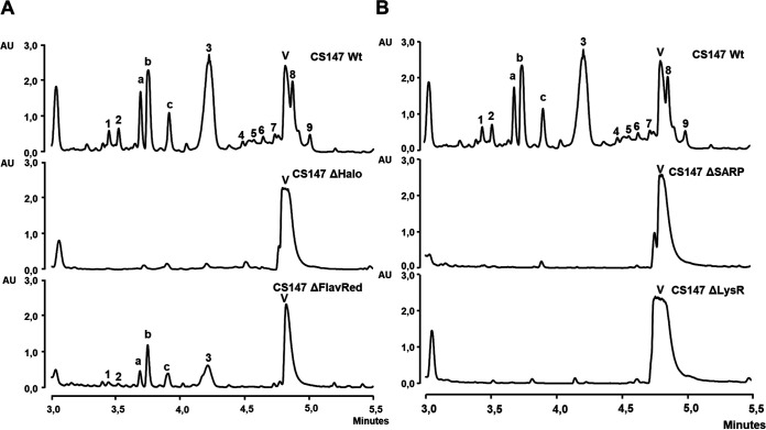 FIG 3