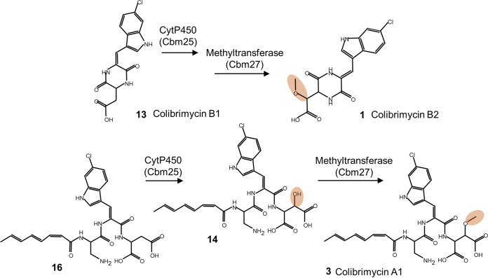 FIG 6