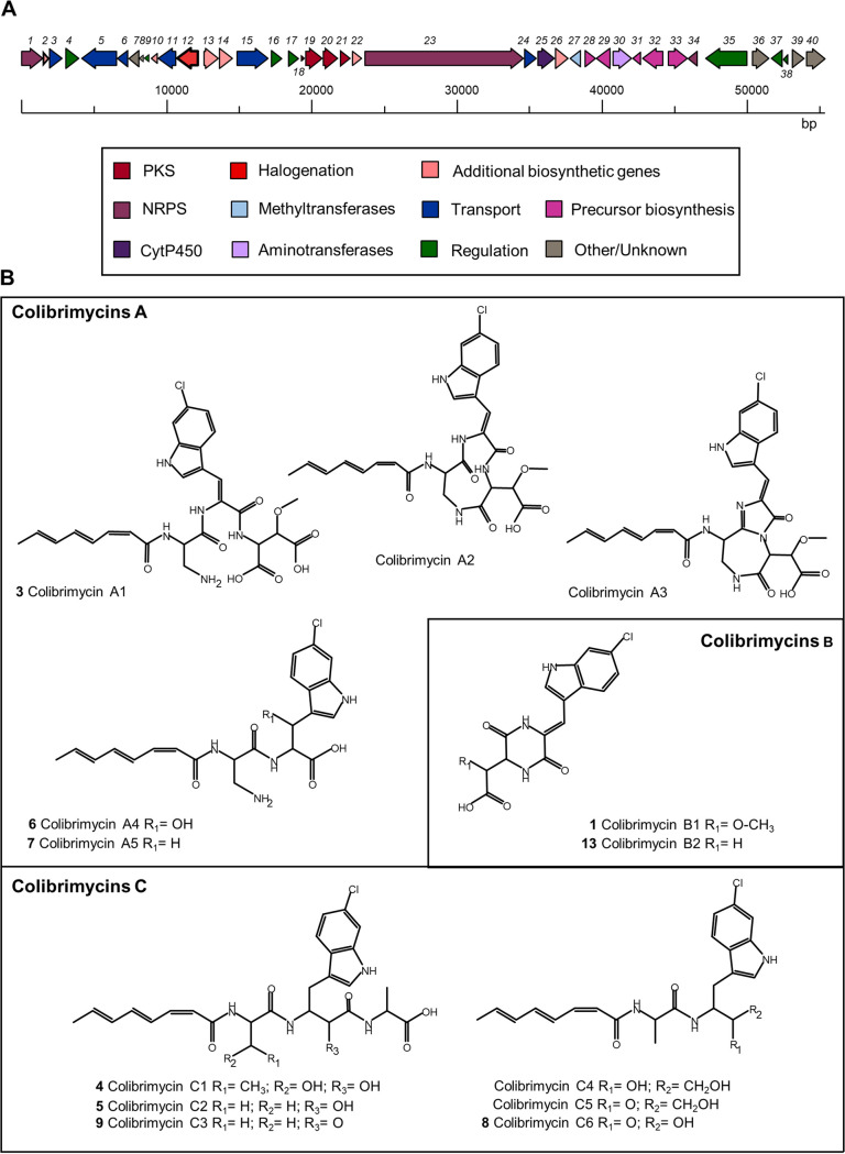 FIG 1