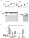 FIG. 7.