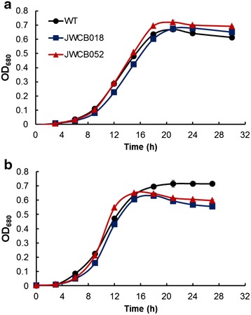 Fig. 4