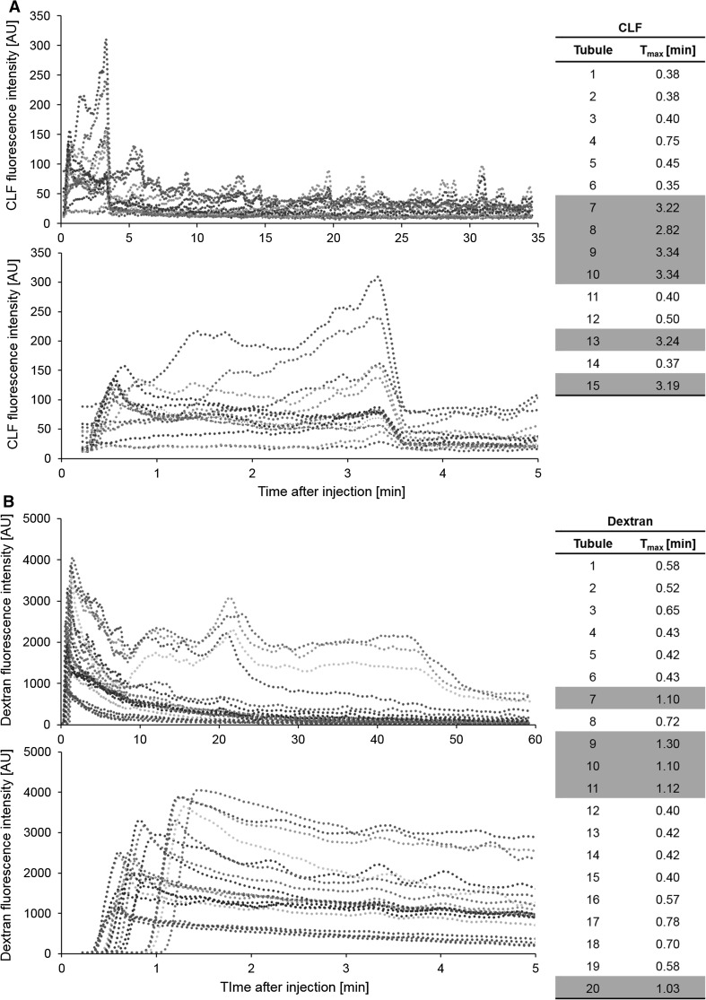 Fig. 7