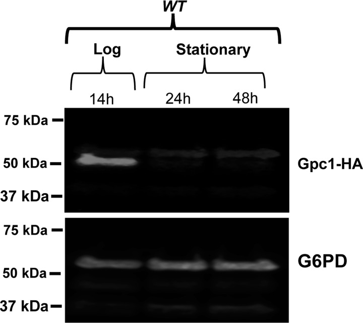 Figure 9.