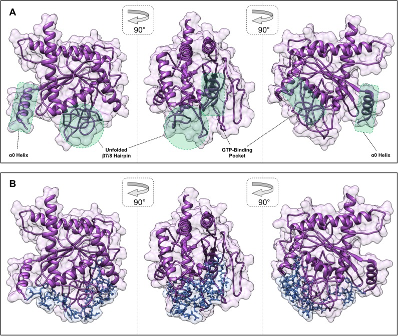 Figure 5—figure supplement 3.