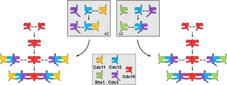 Figure 2—figure supplement 2.