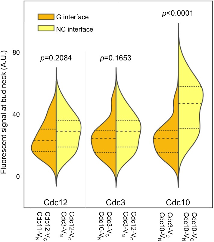 Figure 2—figure supplement 3.