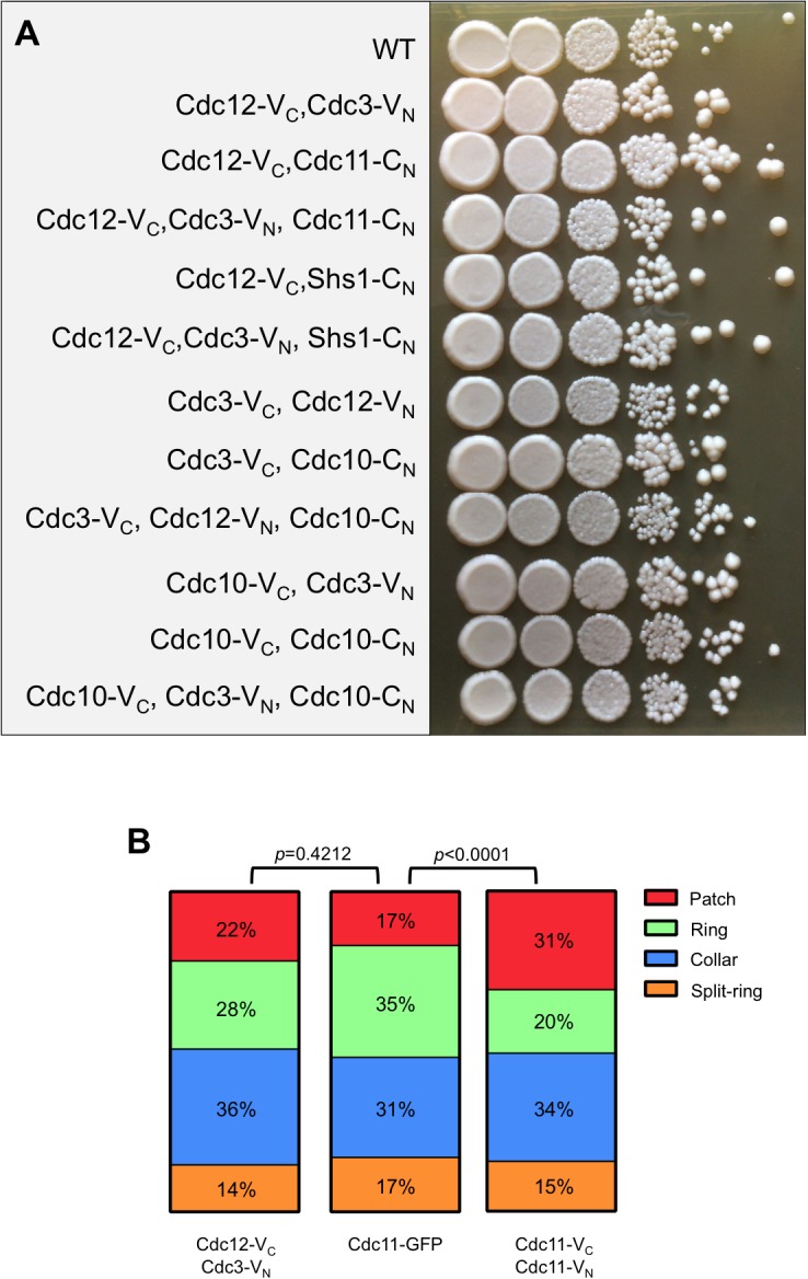 Figure 1—figure supplement 3.