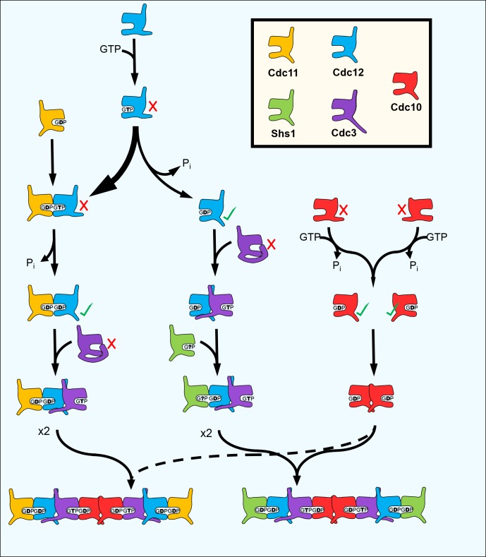 Figure 7.