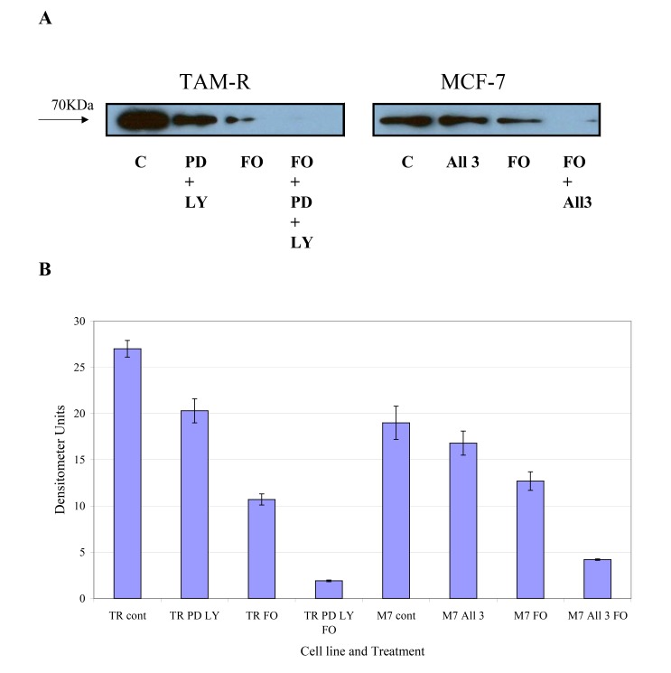 Fig. (6)