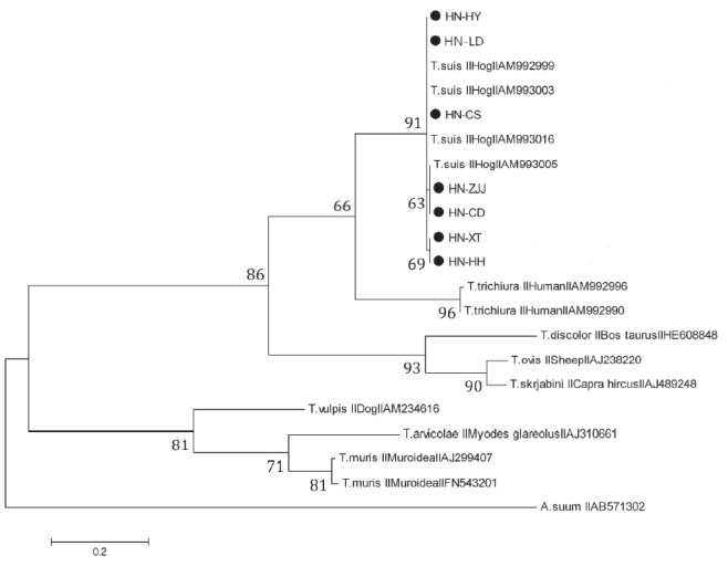 Fig. 2