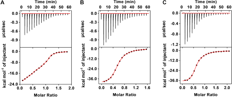 Figure 5.