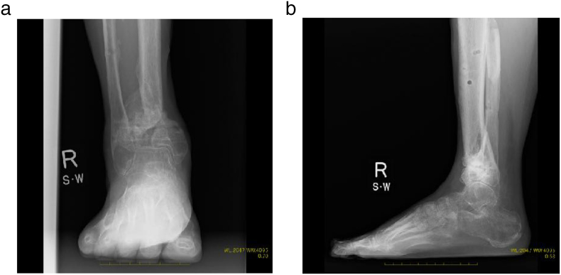 Fig. 8