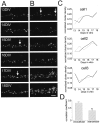 Fig. 10.