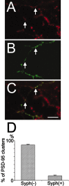 Fig. 12.