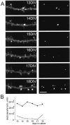 Fig. 7.