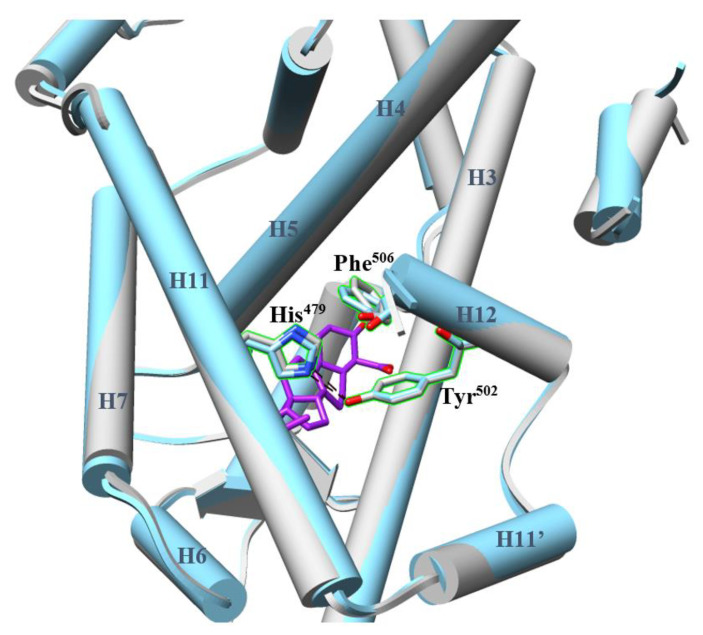 Figure 4