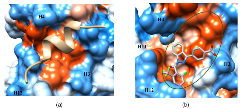 Figure 10