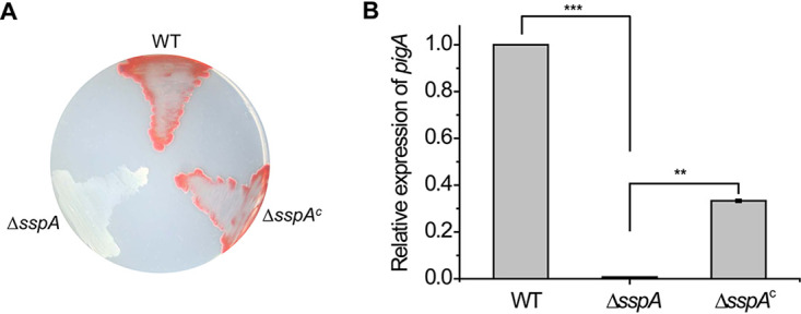 FIG 2
