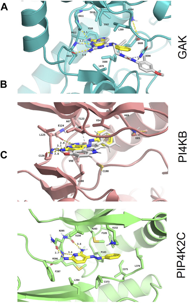 FIGURE 3