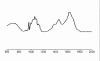 Graph 4