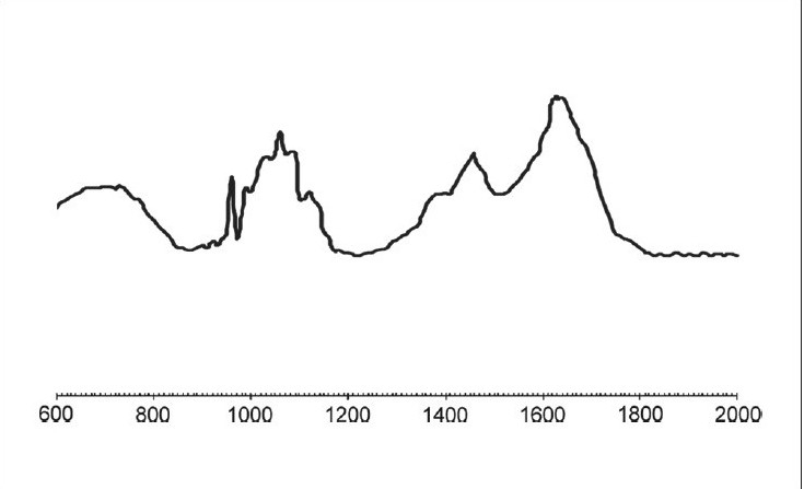 Graph 4