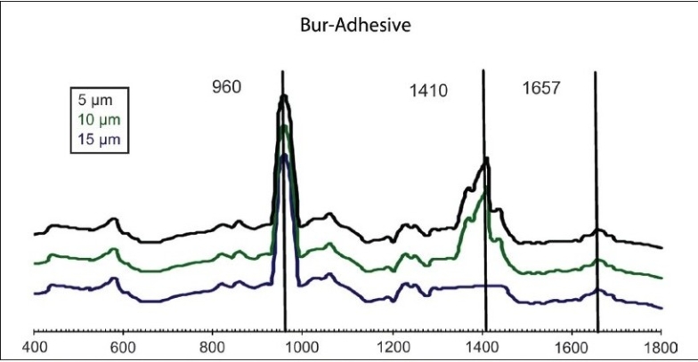 Graph 5