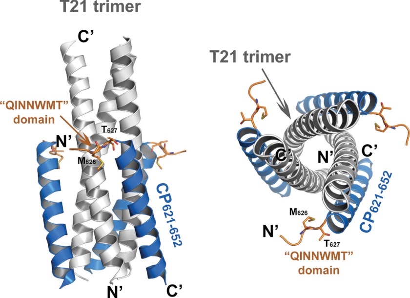 FIGURE 2.