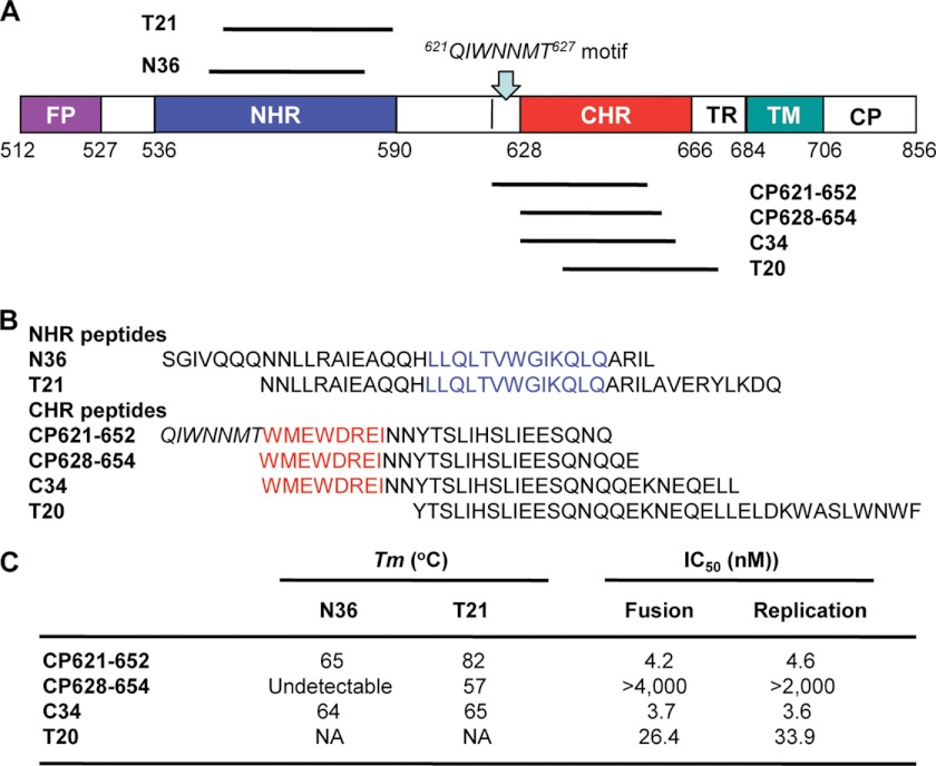 FIGURE 1.