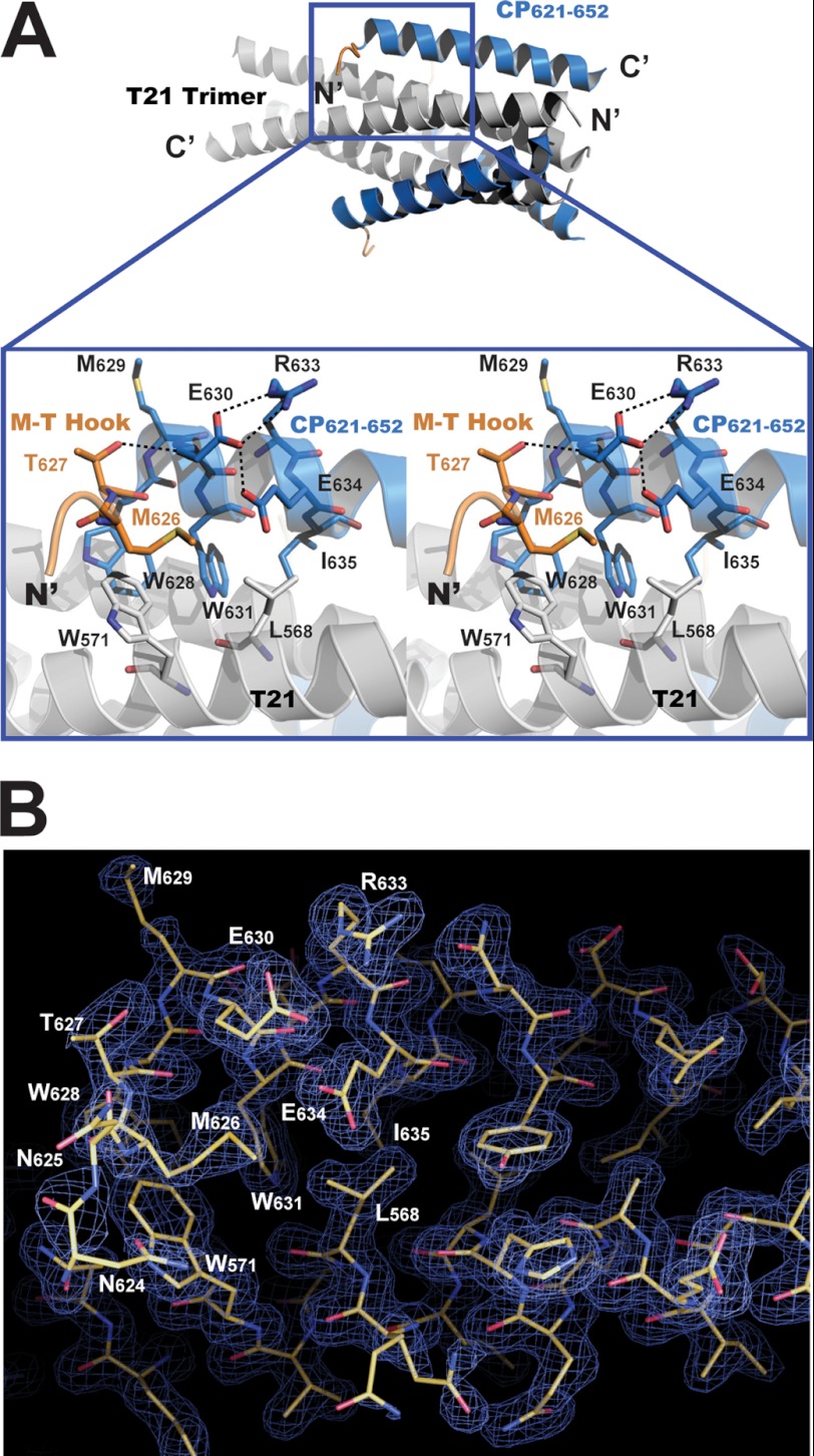 FIGURE 4.