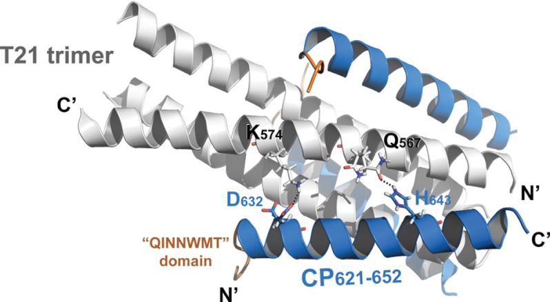 FIGURE 3.