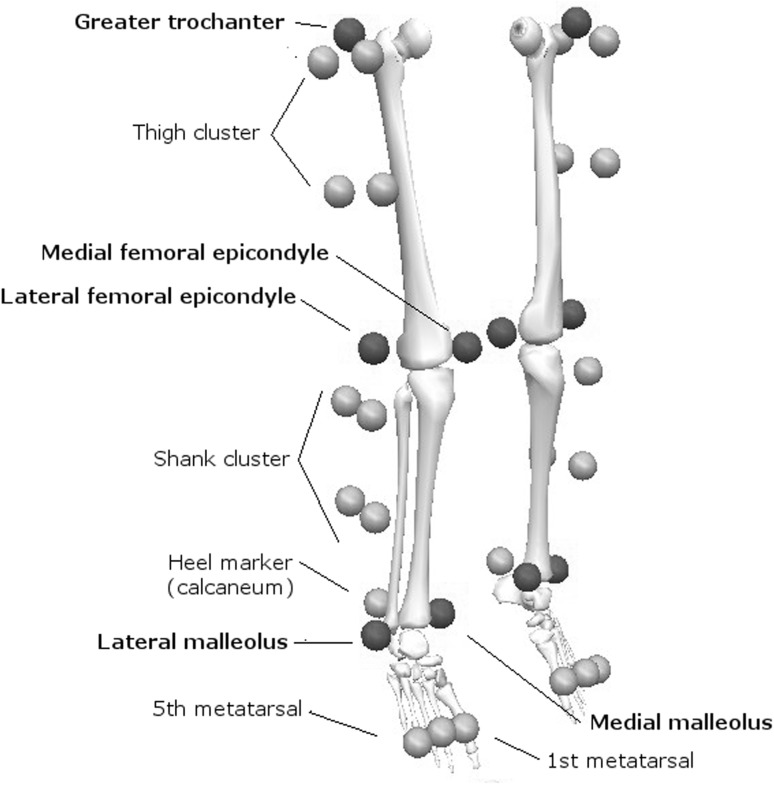 Fig. 2