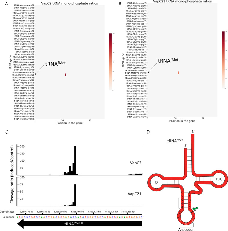 FIG 3