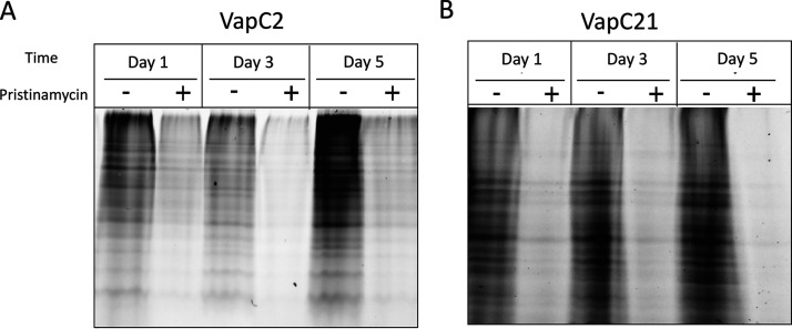 FIG 4