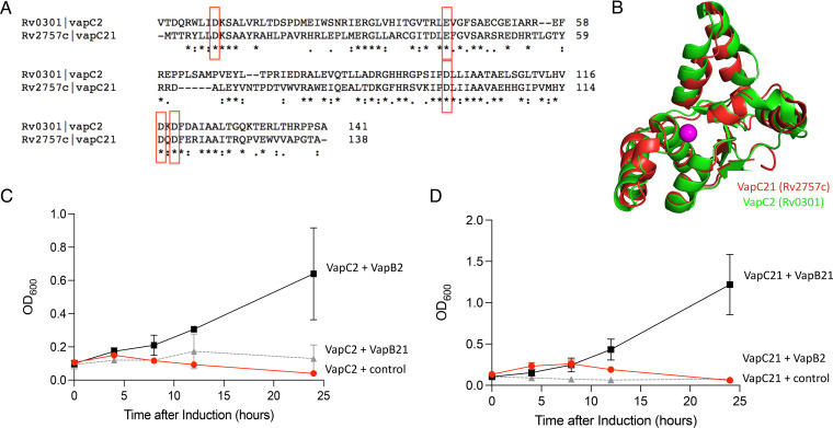 FIG 6