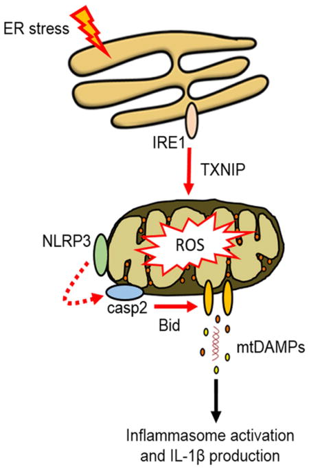 graphic file with name nihms720205u1.jpg