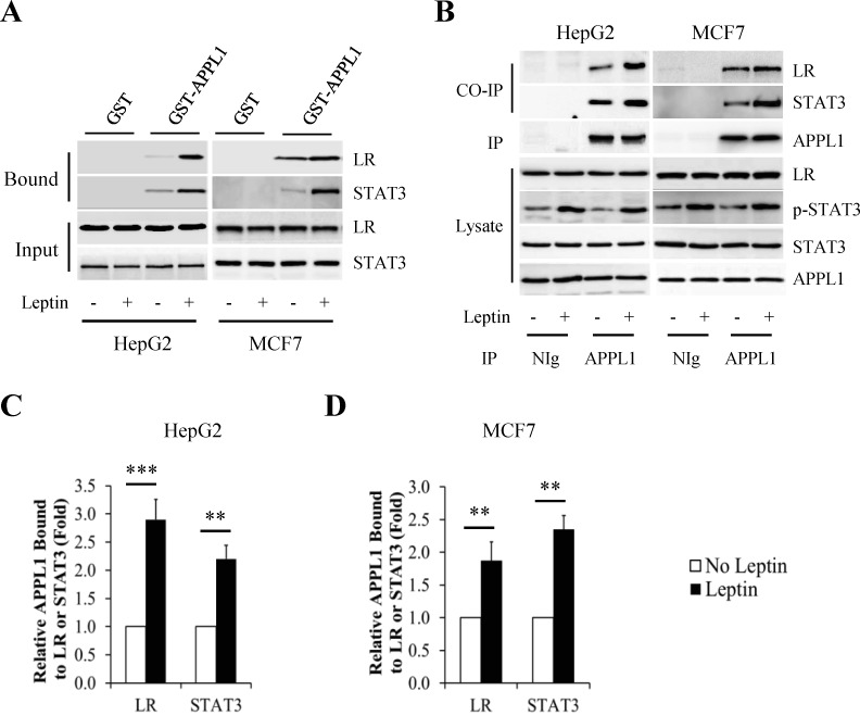 Fig 6