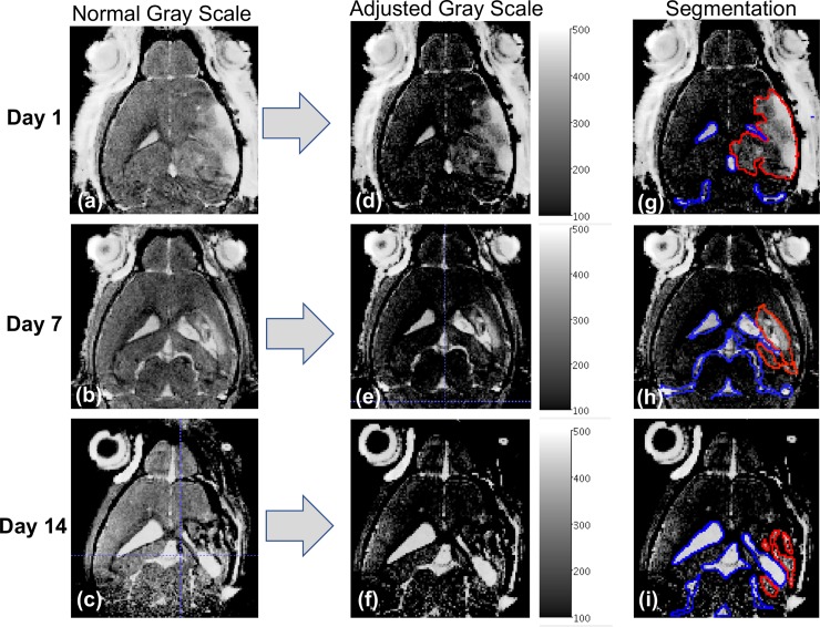 Fig 2