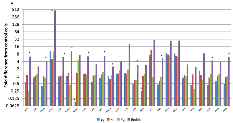 Figure 5A-C: