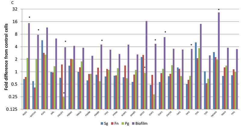 Figure 5A-C: