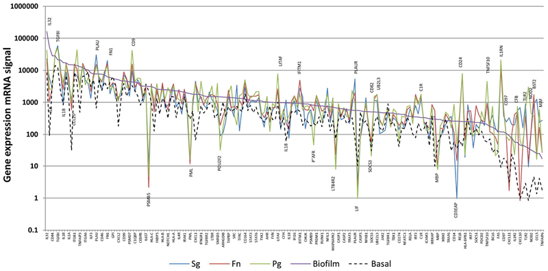 Figure 1: