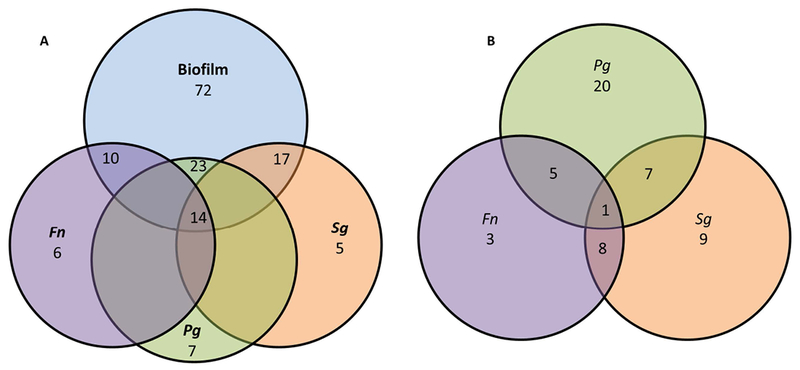 Figure 4: