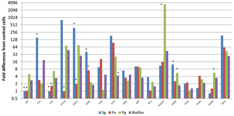 Figure 6: