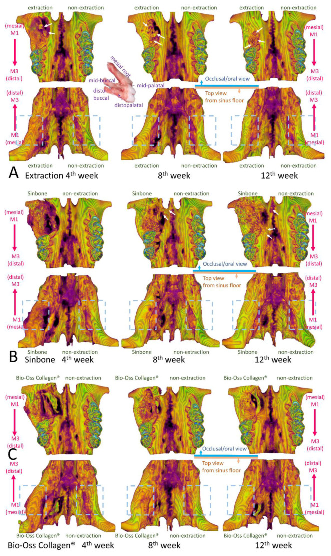 Figure 5