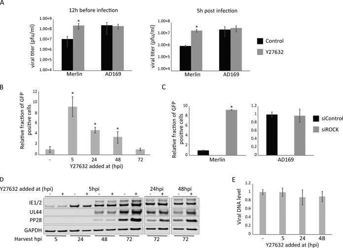 FIG 1